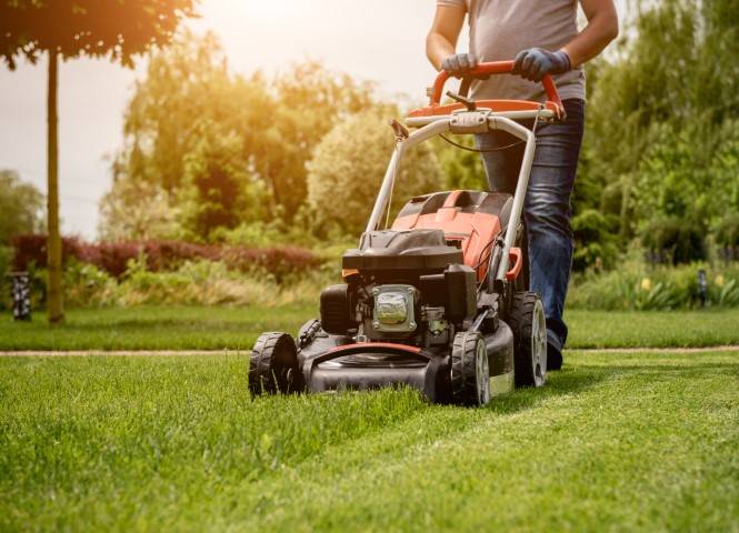 Entretien de jardin près de Valentigney